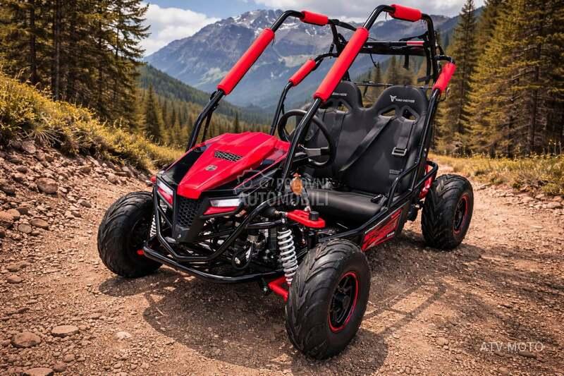 Tao Motor Buggy 100cc 5