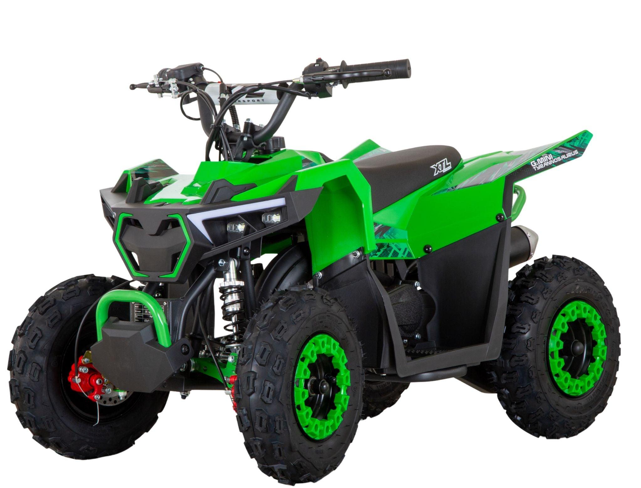 G-Mini Tyrannosaurus 49cc 2