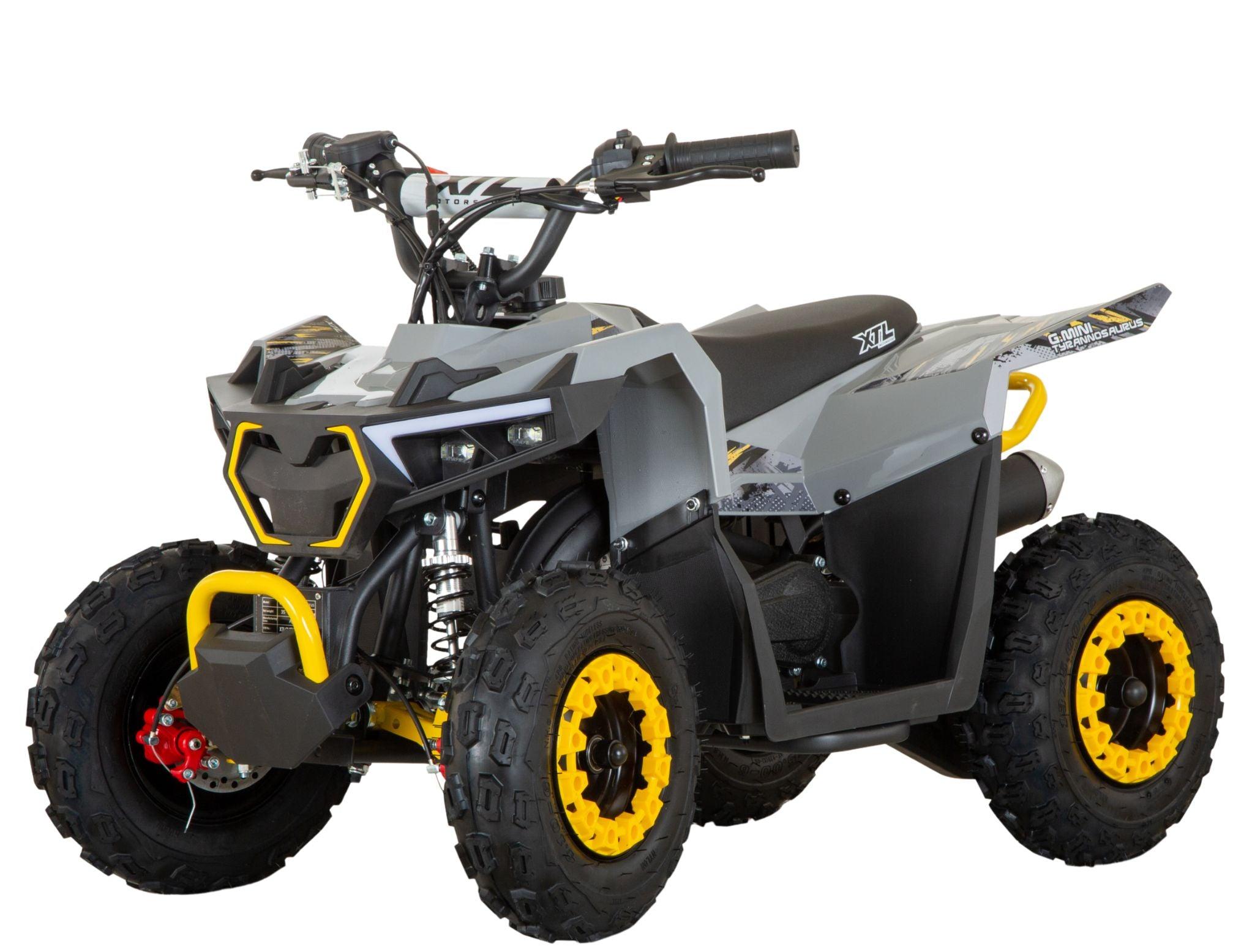 G-Mini Tyrannosaurus 49cc 3