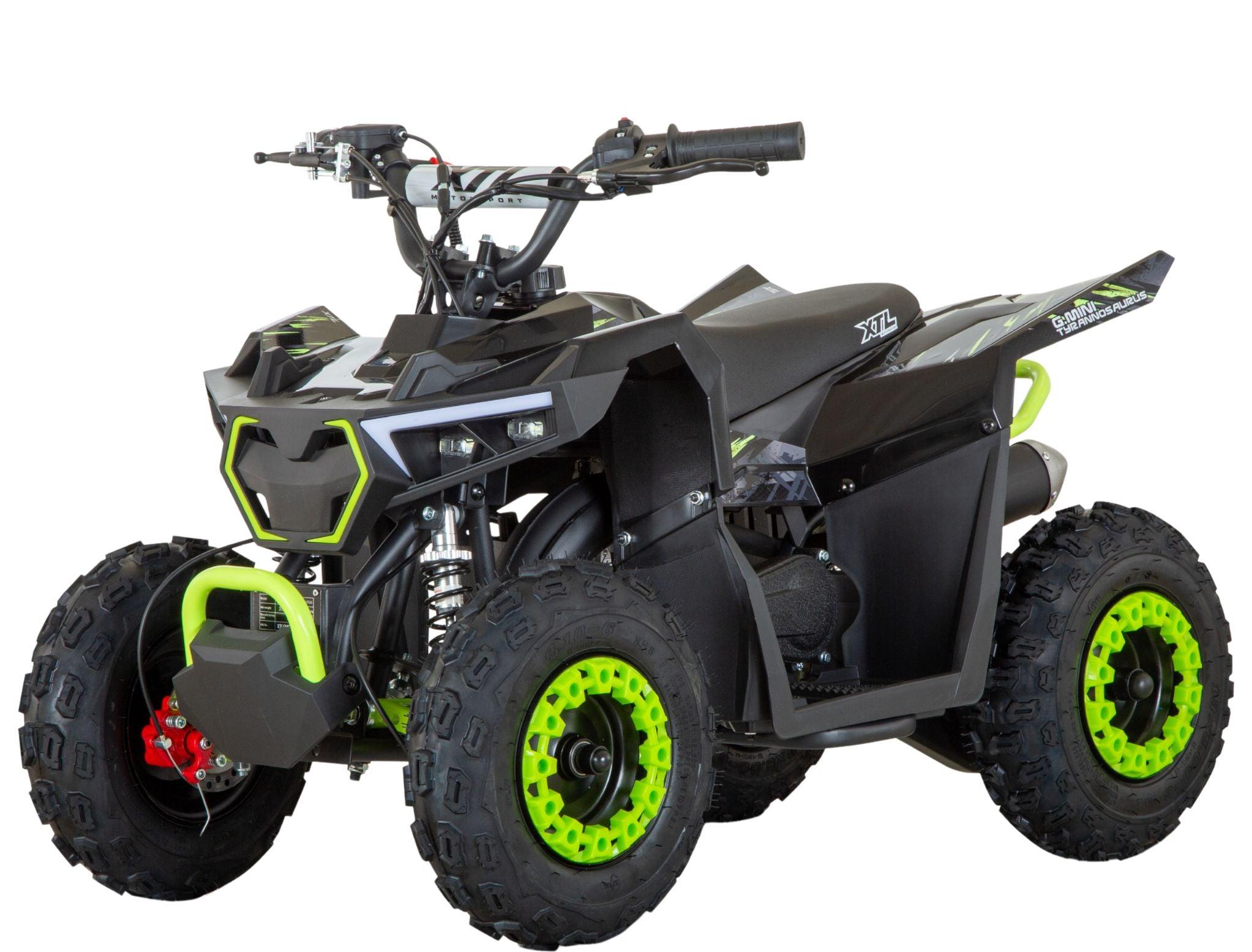 G-Mini Tyrannosaurus 49cc 4