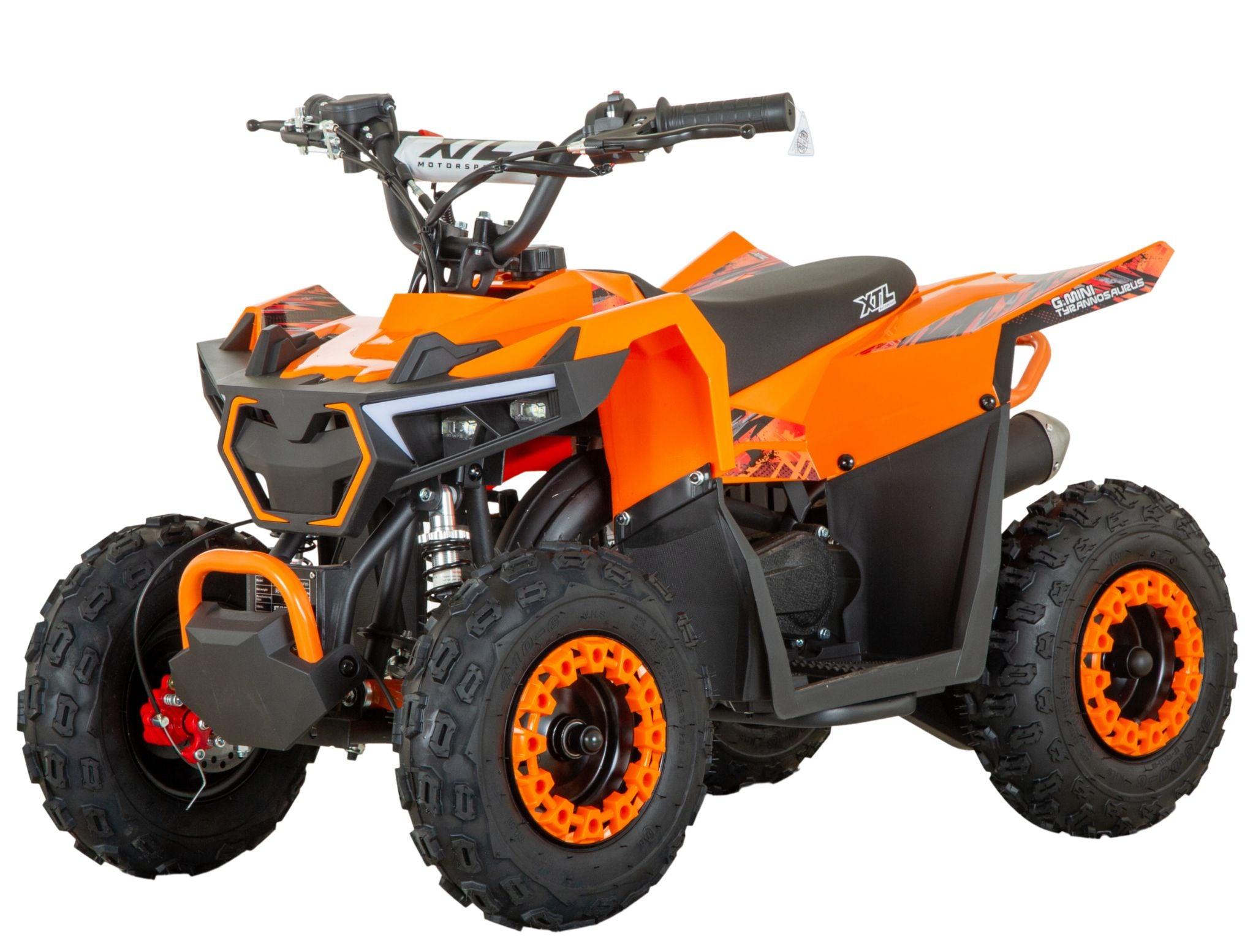 G-Mini Tyrannosaurus 49cc 5