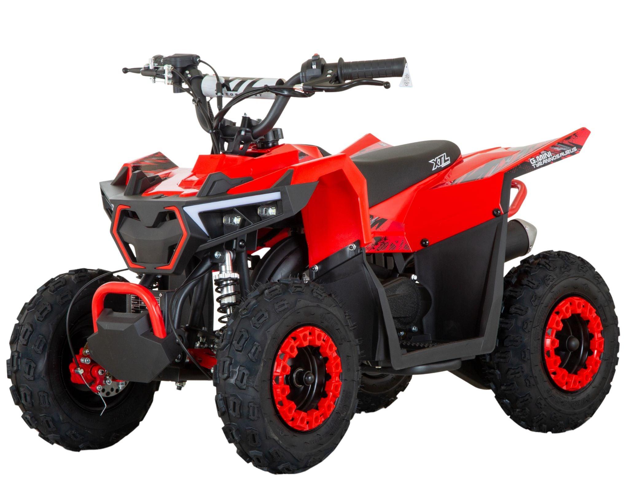 G-Mini Tyrannosaurus 49cc 6