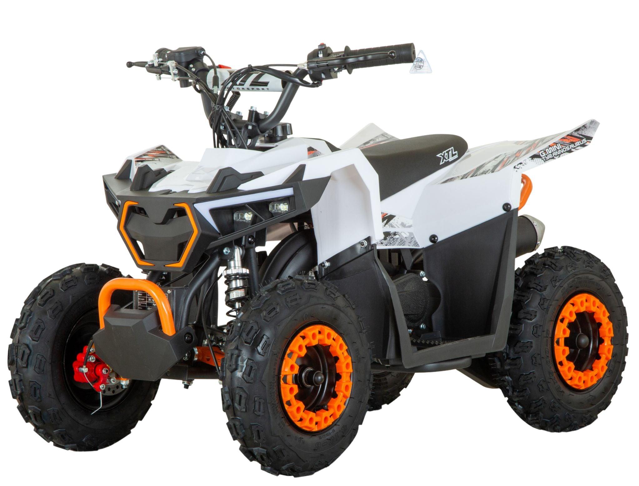 G-Mini Tyrannosaurus 49cc 7