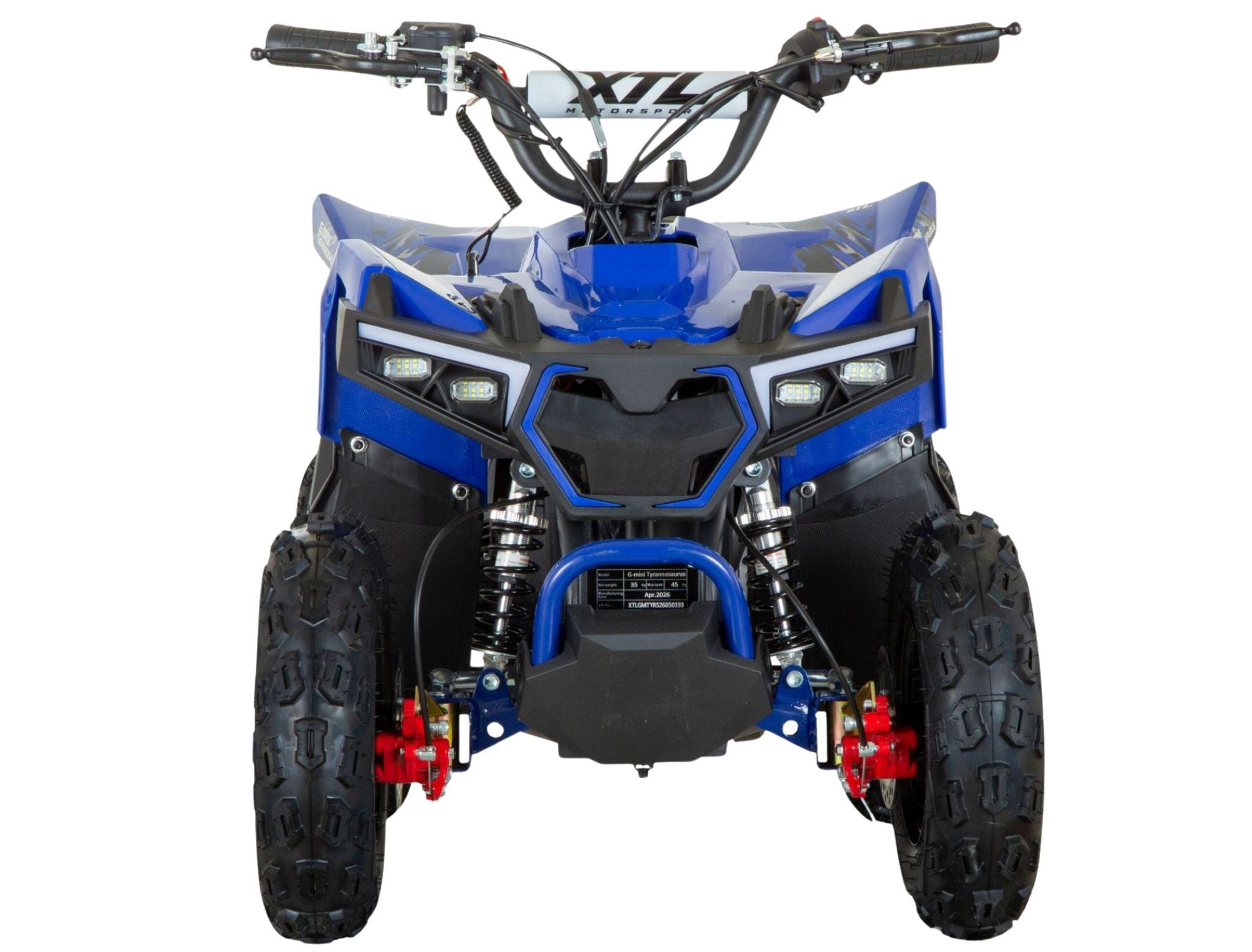 G-Mini Tyrannosaurus 49cc 8