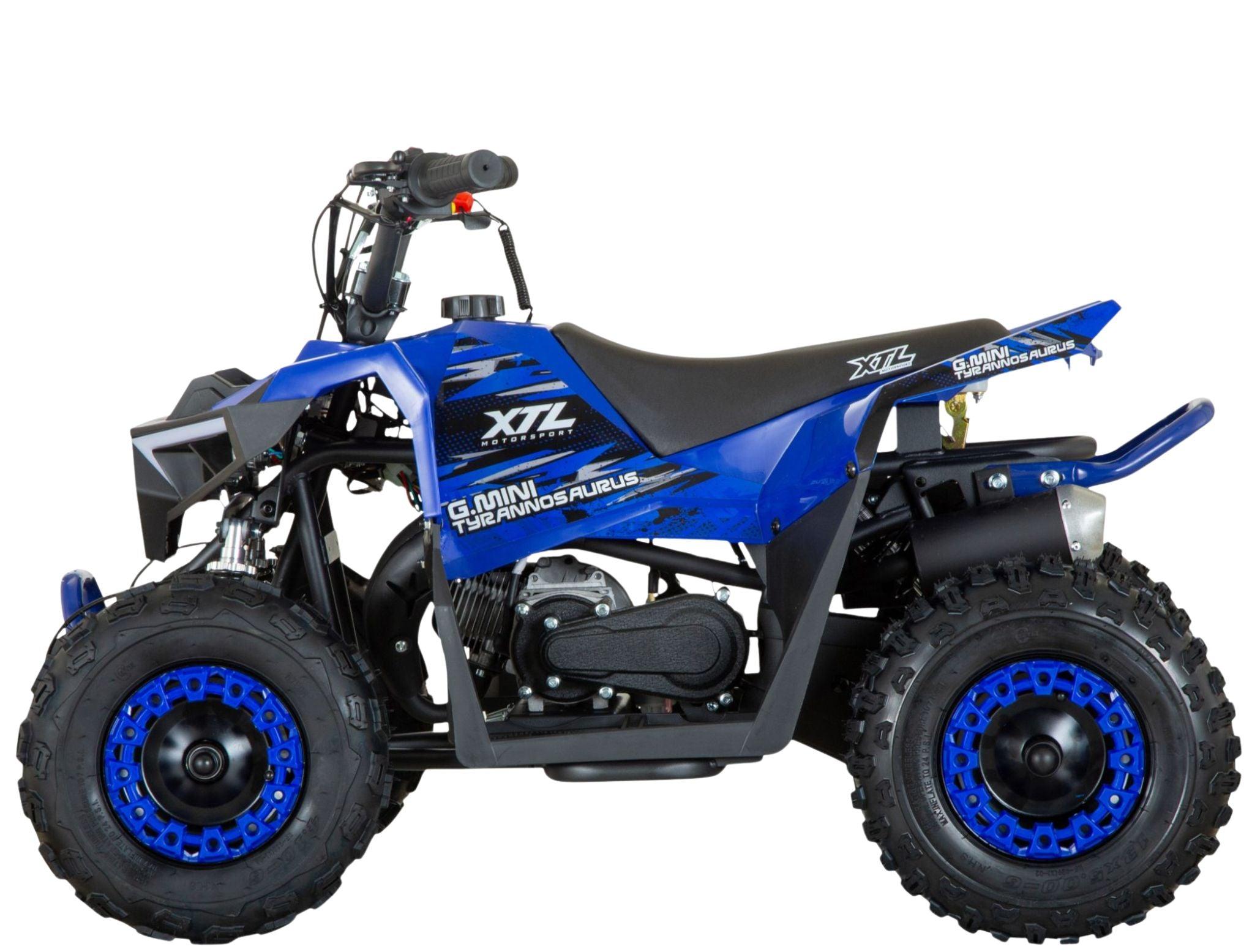 G-Mini Tyrannosaurus 49cc 9