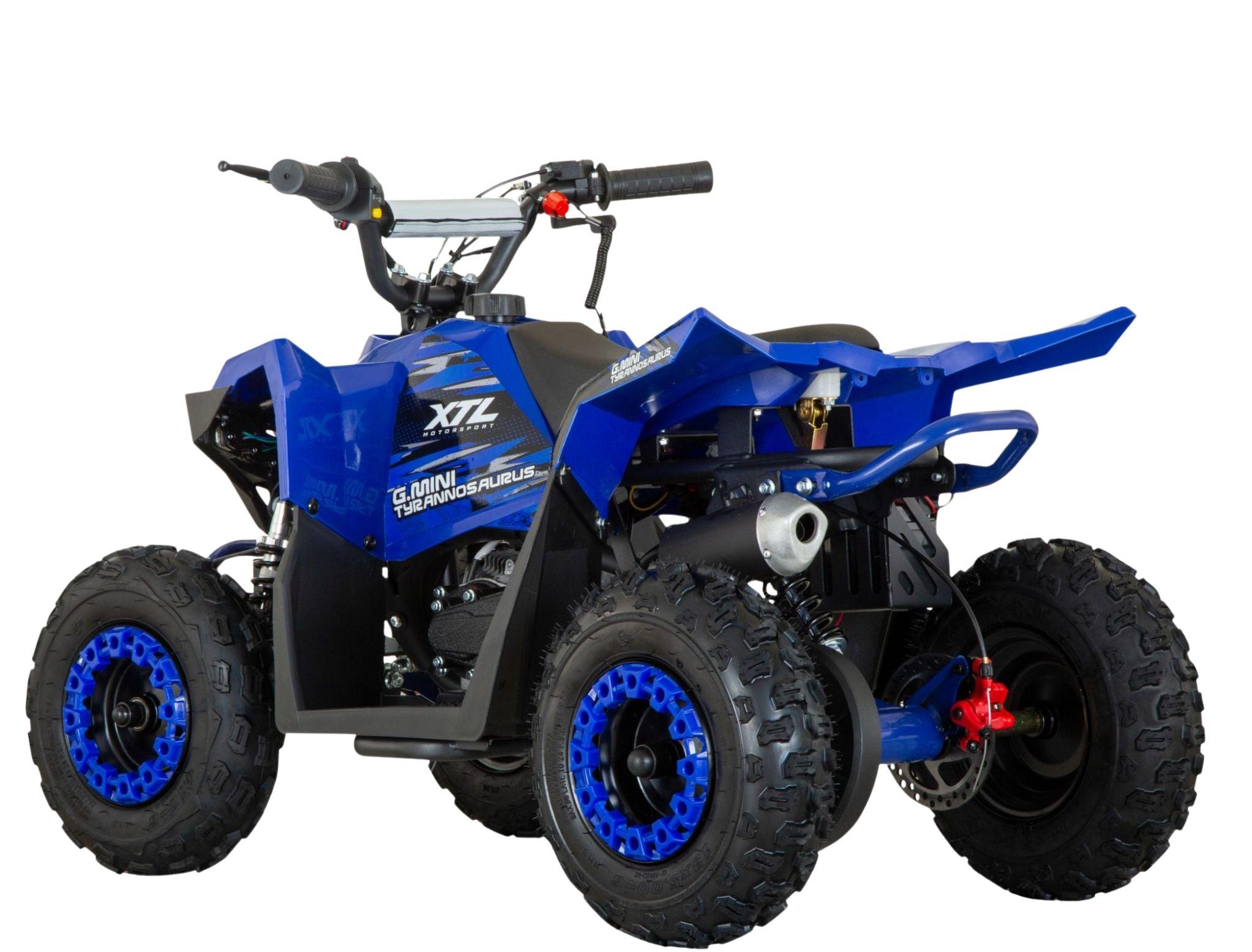 G-Mini Tyrannosaurus 49cc 10