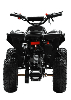 XTL XBW Mini 49cc E-Start 10