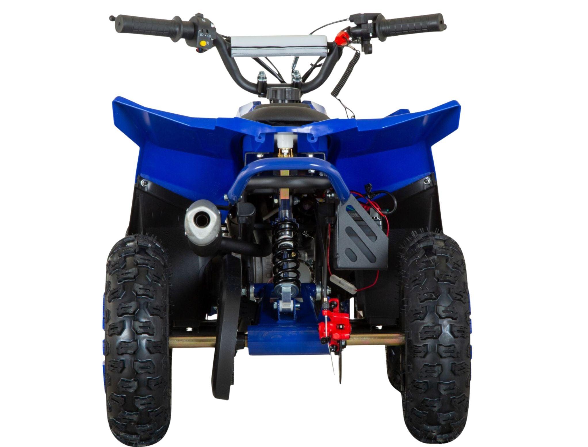 G-Mini Tyrannosaurus 49cc 11
