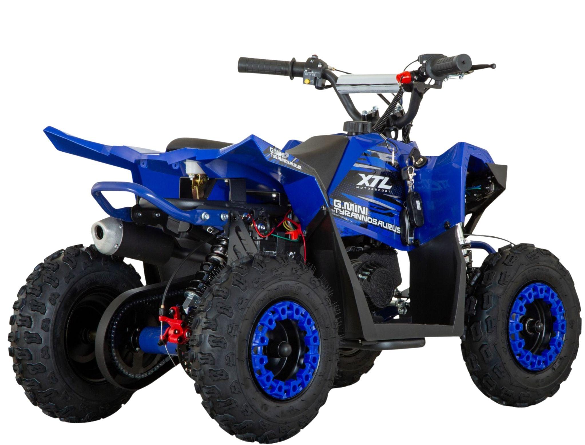 G-Mini Tyrannosaurus 49cc 12