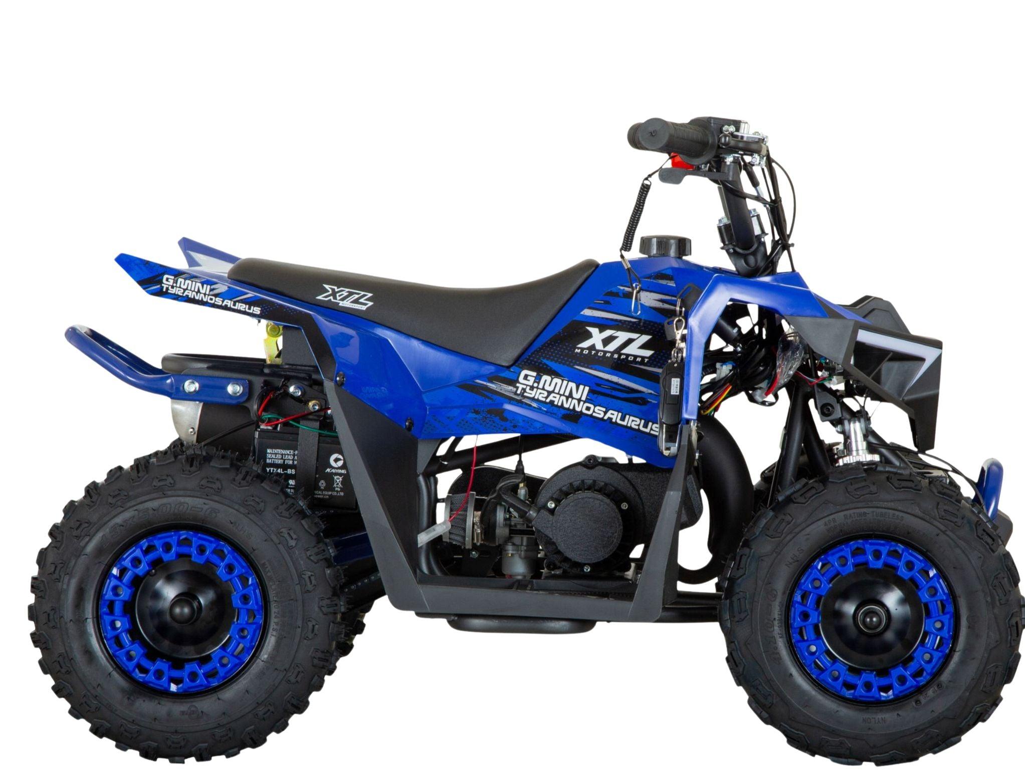 G-Mini Tyrannosaurus 49cc 13