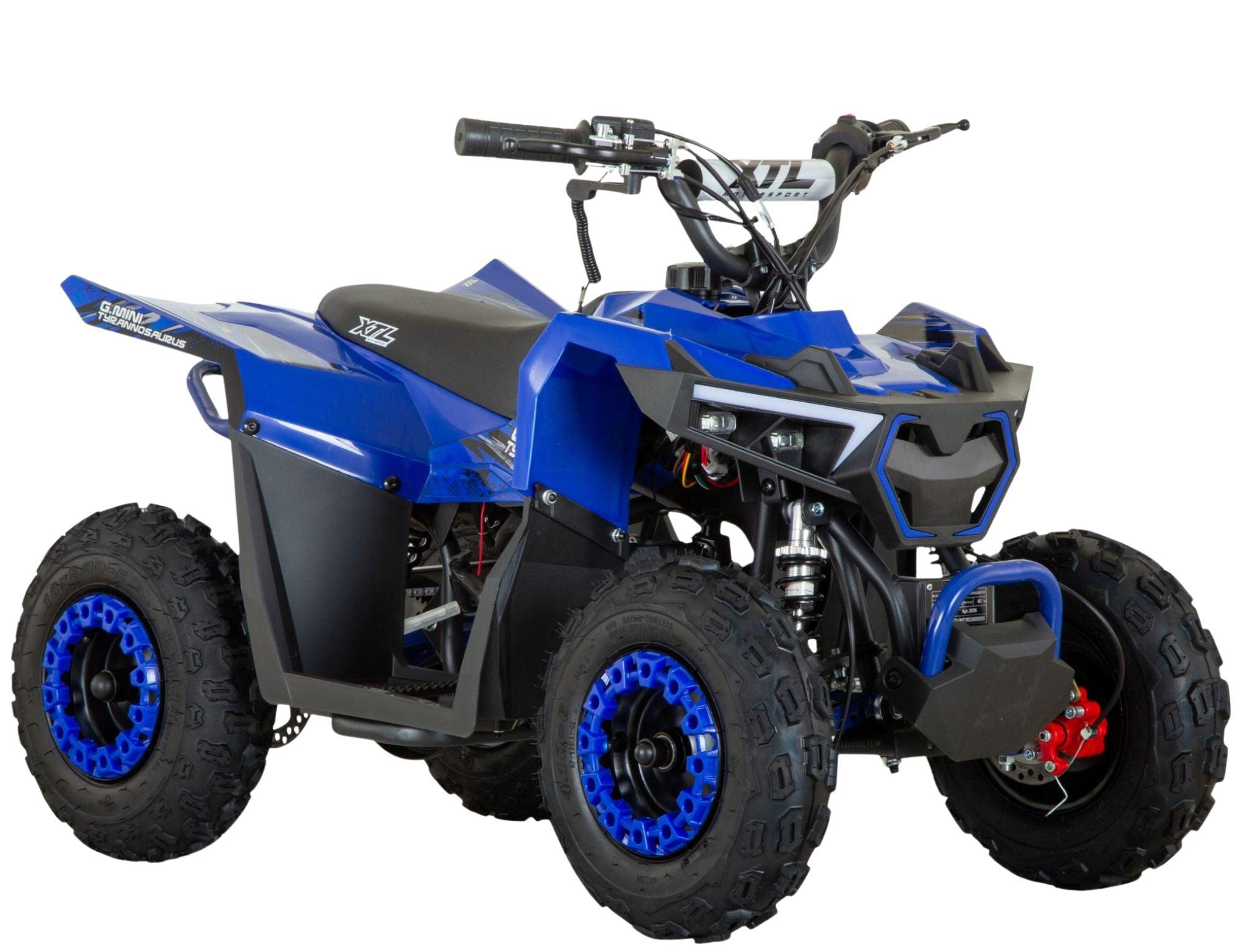 G-Mini Tyrannosaurus 49cc 14