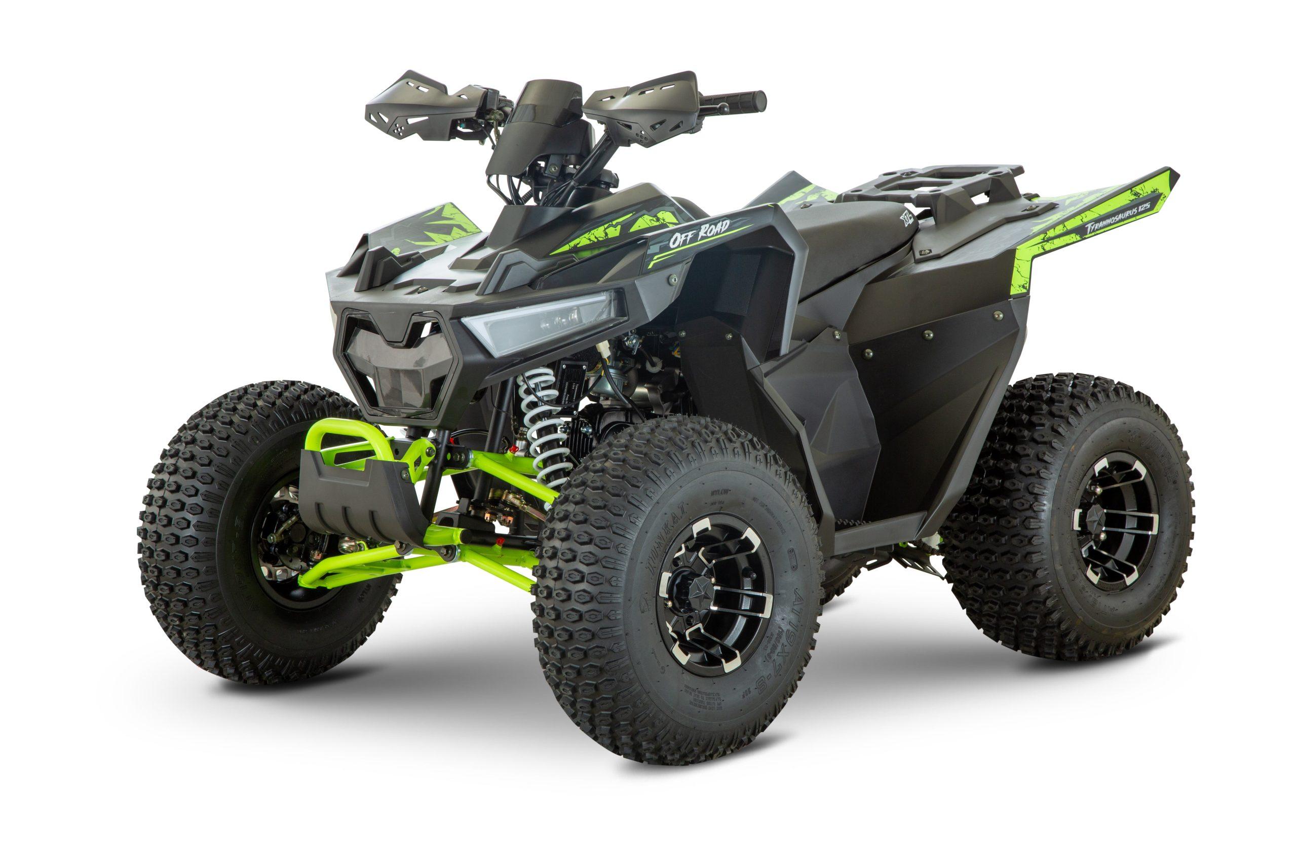 XTL Tyrannosaurus 125cc 19