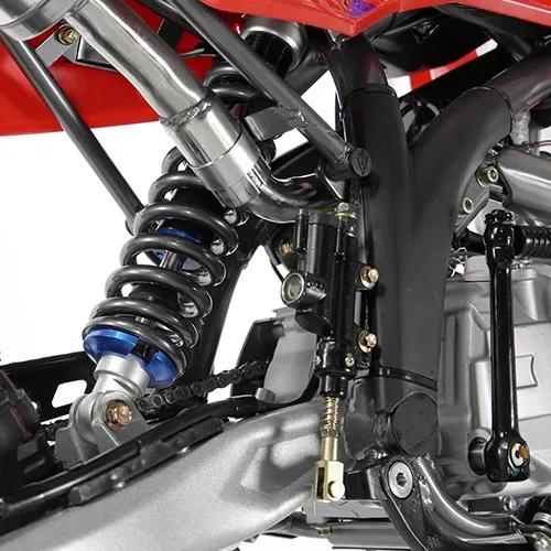 RFZ Mini Jaguar 125cc Pit Bike 2